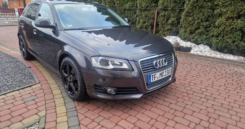 audi Audi A3 cena 29900 przebieg: 172900, rok produkcji 2009 z Trzebiatów